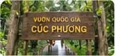 Cổng gỗ Vườn quốc gia Cúc Phương giữa rừng