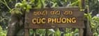 Cổng gỗ Vườn quốc gia Cúc Phương