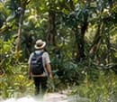 Du khách đeo balô đi bộ trên đường rừng